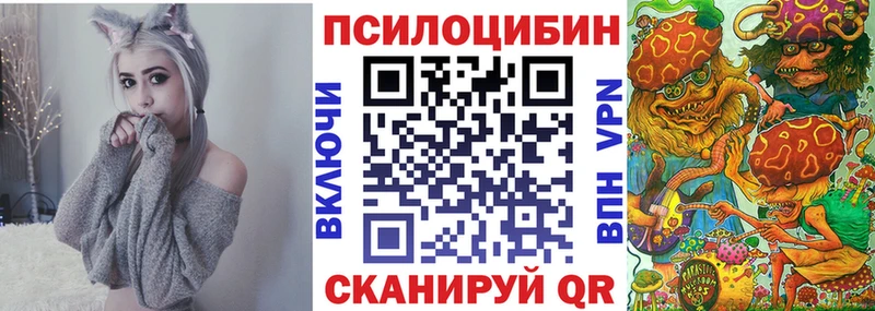 где можно купить Малаховка ОМГ ОМГ как зайти Псилоцибиновые грибы Psilocybe
