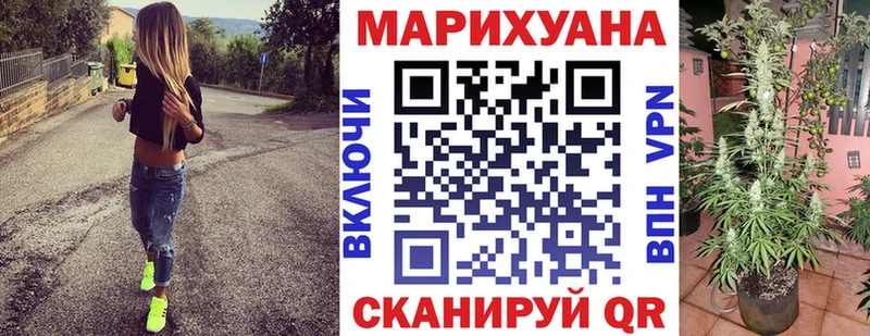 где найти   Малаховка  Конопля Bruce Banner 